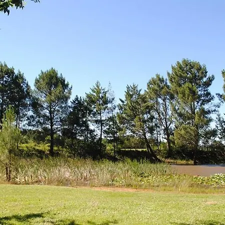 Camping Camping Brin D'amour - Maeva 3*
